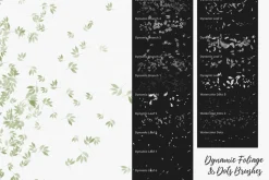 244 Watercolor Brushes For Procreate