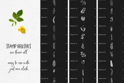 244 Watercolor Brushes For Procreate