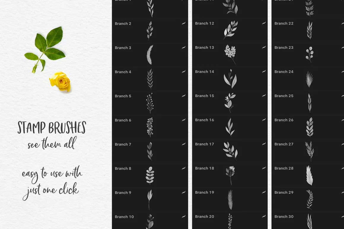 244 Watercolor Brushes For Procreate