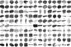 170 Watercolor Brushes Pack for PS