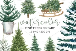 Watercolor Christmas Pine Tree PNG