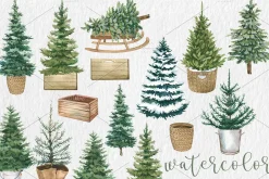 Watercolor Christmas Pine Tree PNG