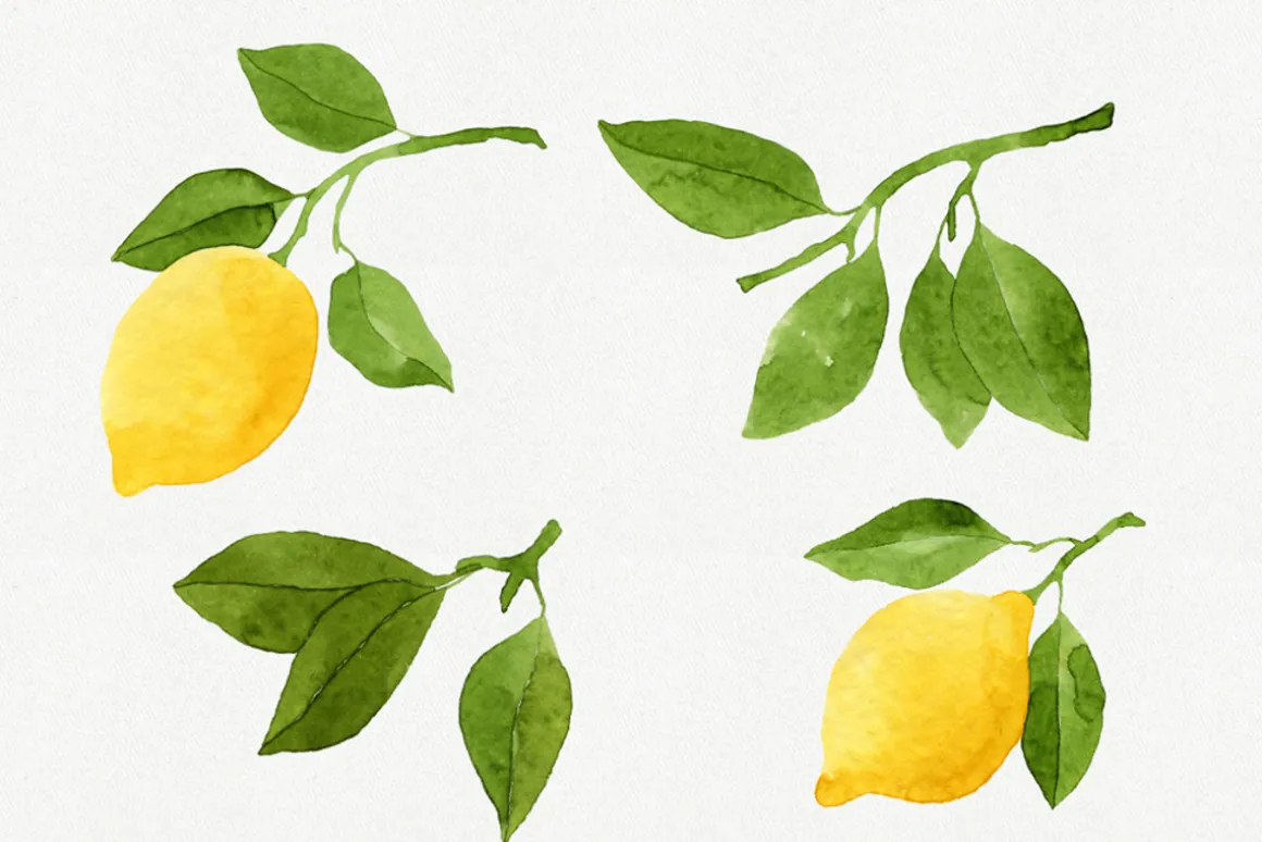 Watercolor Lemons Set