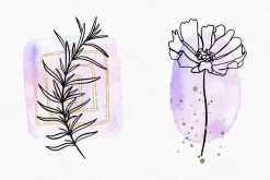 Watercolor Procreate Brushes
