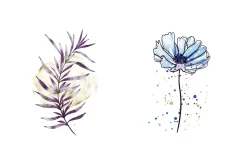 Watercolor Procreate Brushes
