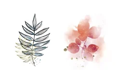 Watercolor Procreate Brushes