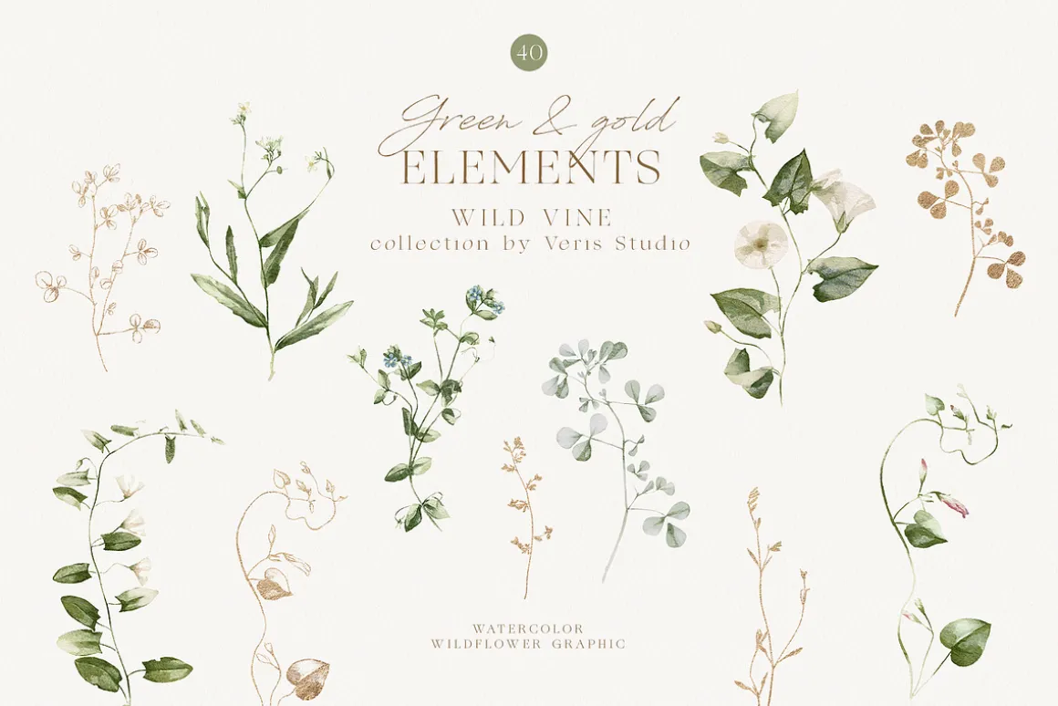 Watercolor Wildflower Floral Green