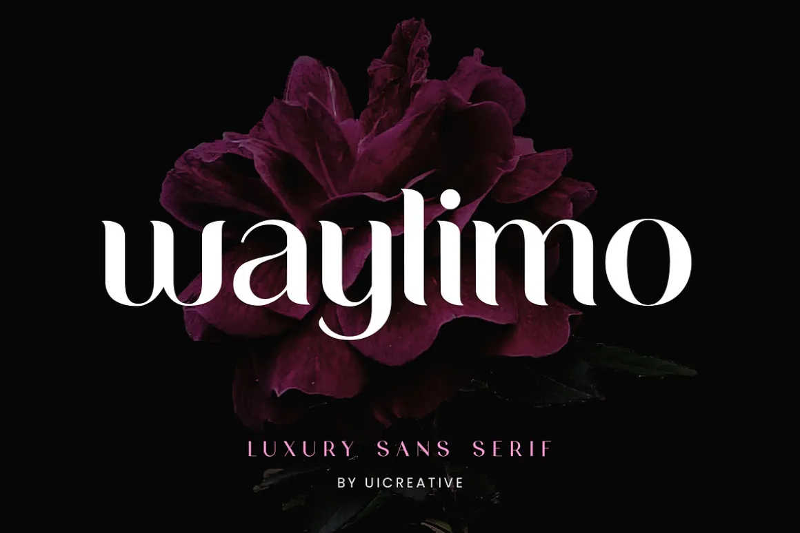 Waylimo Modern Sans Serif Font