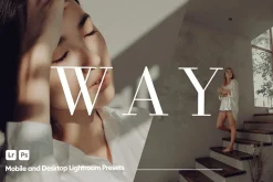 Way Presets for Lightroom