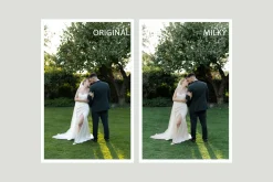 WEDDING PRESETS PACK 2026