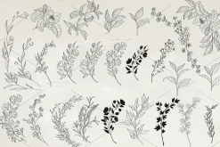 Wedding Invitations set