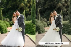 20 Wedding Lightroom Presets and LUT