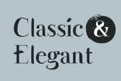 Wesloy dry brush serif font