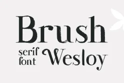 Wesloy dry brush serif font