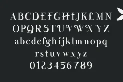 Wesloy dry brush serif font