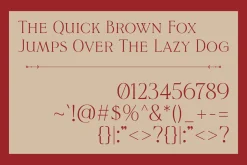 Westbin - Vintage Serif Fonts