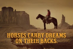 Western Groove - Western Font