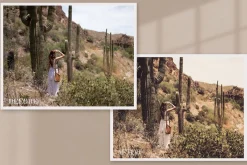 Western Lightroom Photoshop LUTs