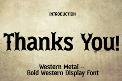 Western Metal