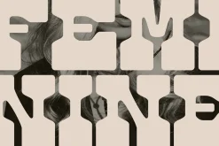 West Shine | Retro Western Font