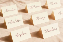 Whimsical Handwritten Font Bundle