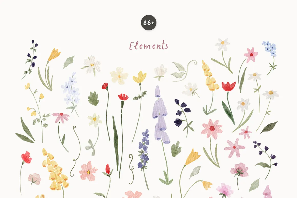 Whimsy & Bright Meadow Flowers