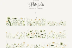 White Fields wildflowers flora