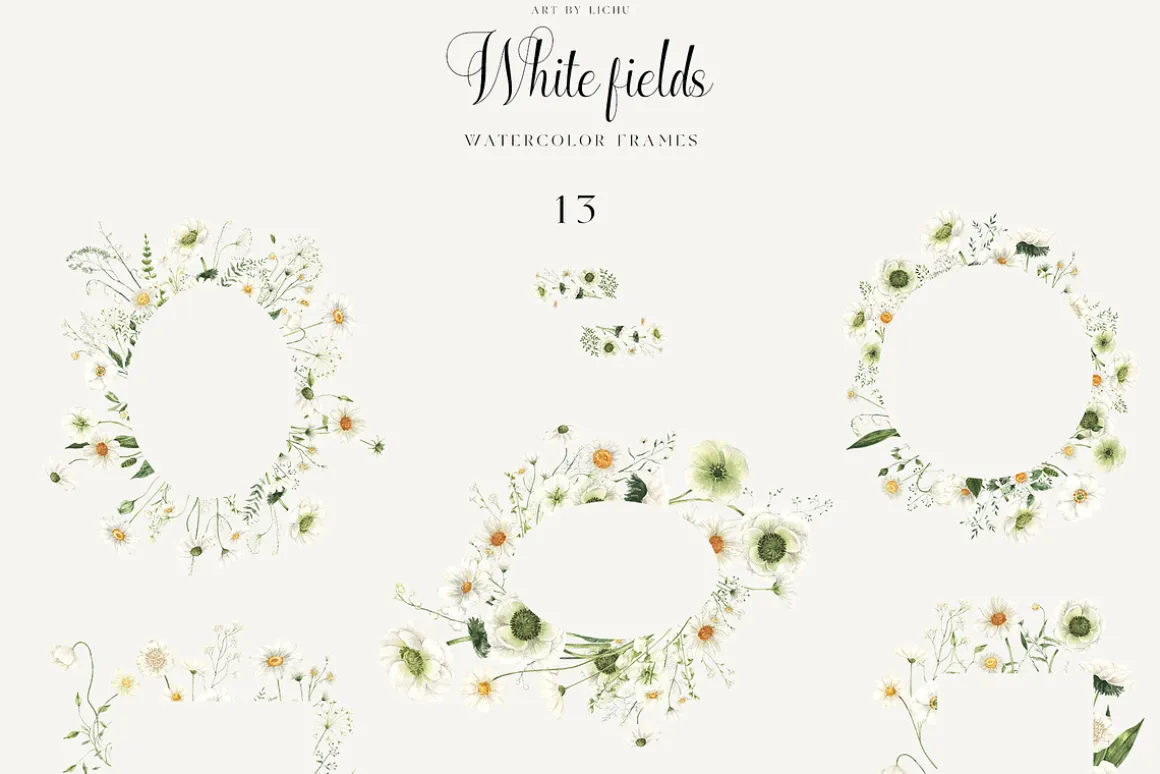 White Fields wildflowers flora
