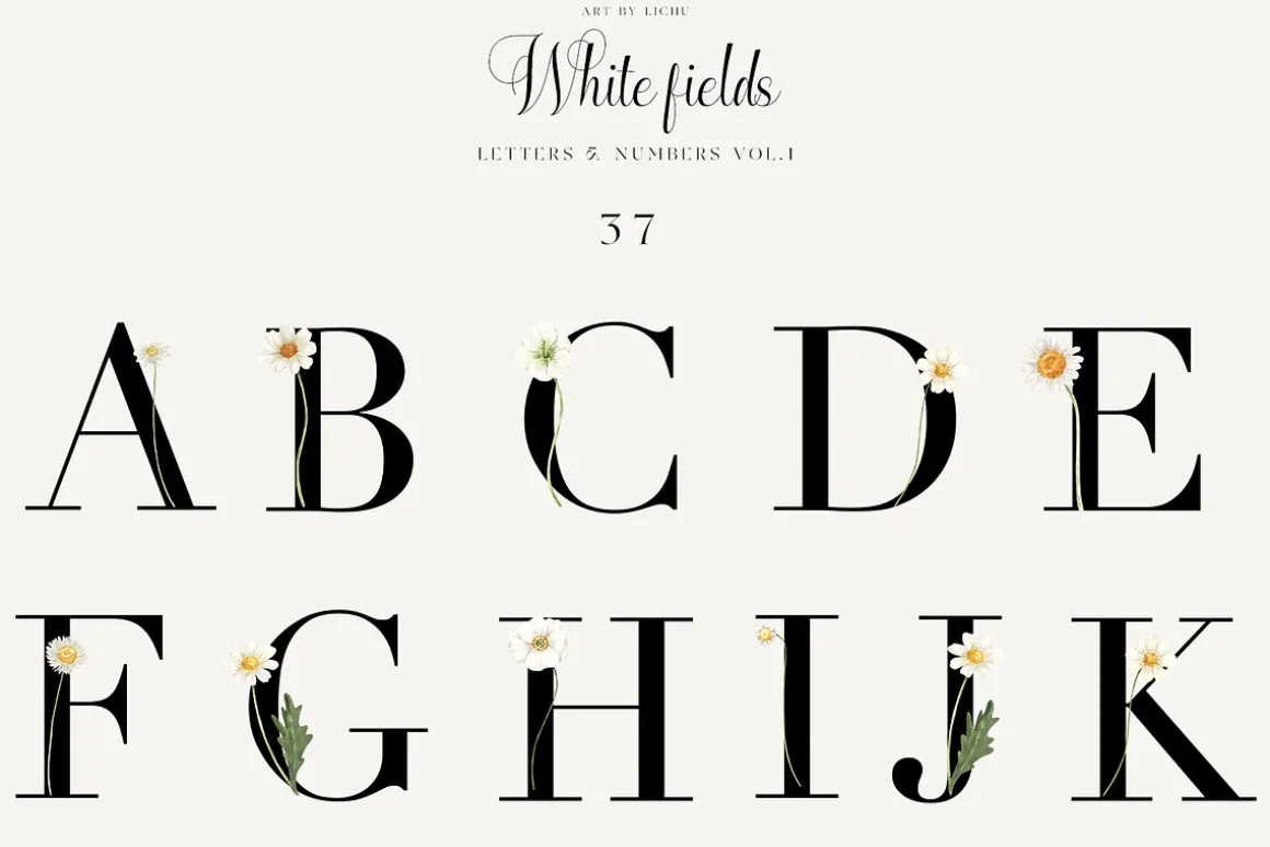 White Fields wildflowers flora
