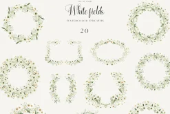 White Fields wildflowers flora