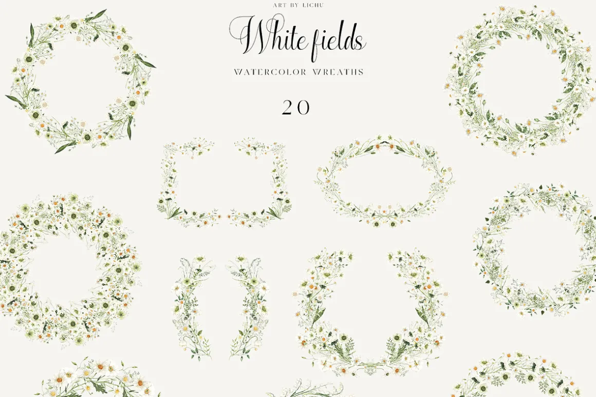 White Fields wildflowers flora
