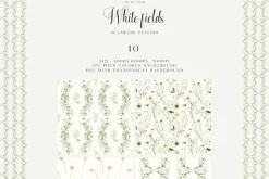 White Fields wildflowers flora