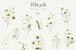 White Fields wildflowers flora