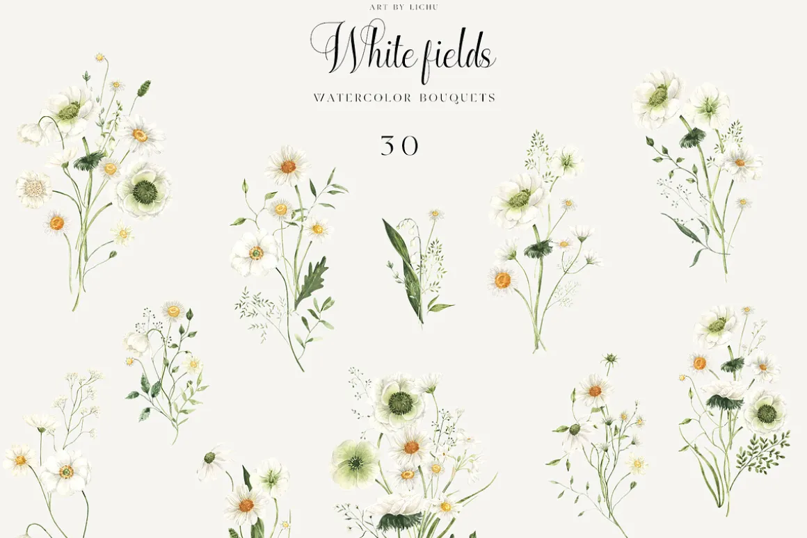 White Fields wildflowers flora