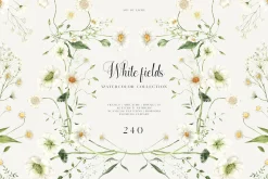 White Fields wildflowers flora