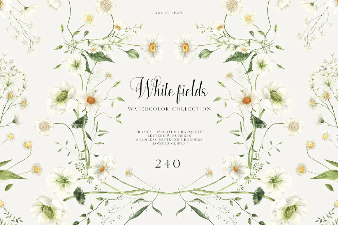 White Fields wildflowers flora