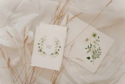 White Fields wildflowers flora