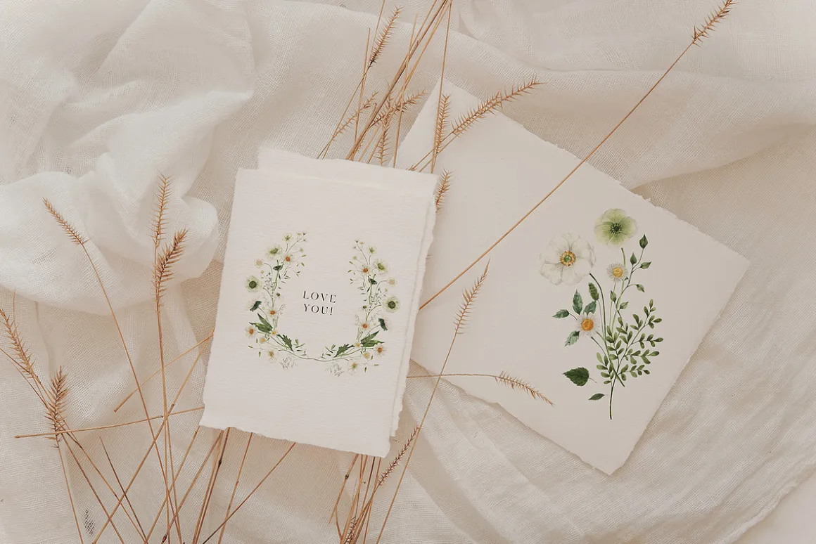 White Fields wildflowers flora