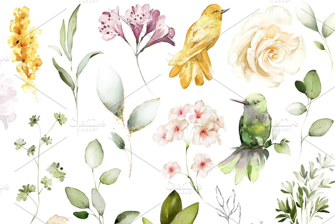 White roses & wildflowers floral set