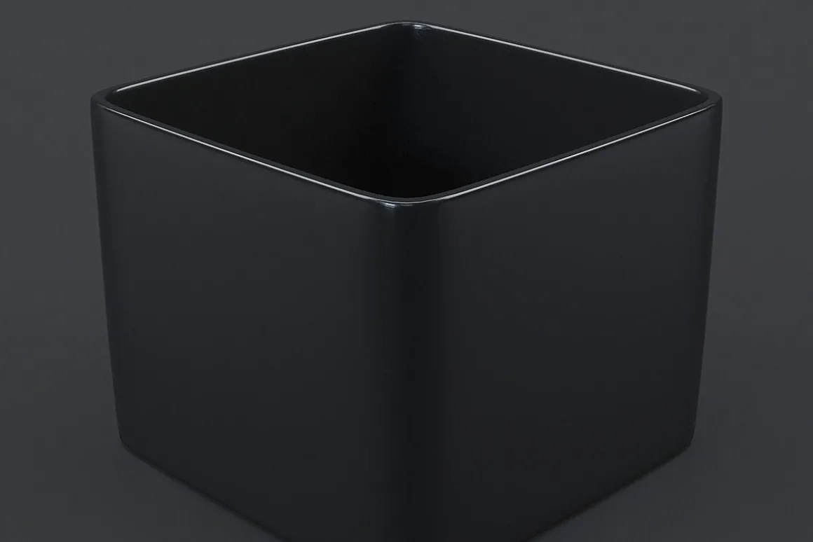 White/Black vases collection