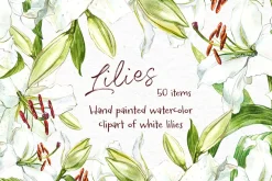 White Lilies watercolor clipart