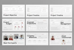White Red Project Proposal PPT