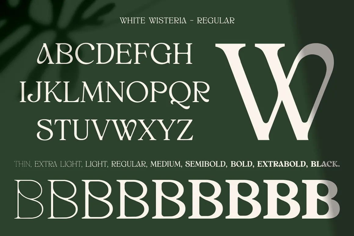 White Wisteria Fonts Family