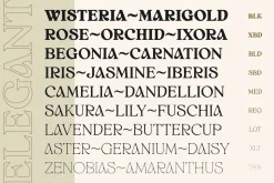 White Wisteria Fonts Family