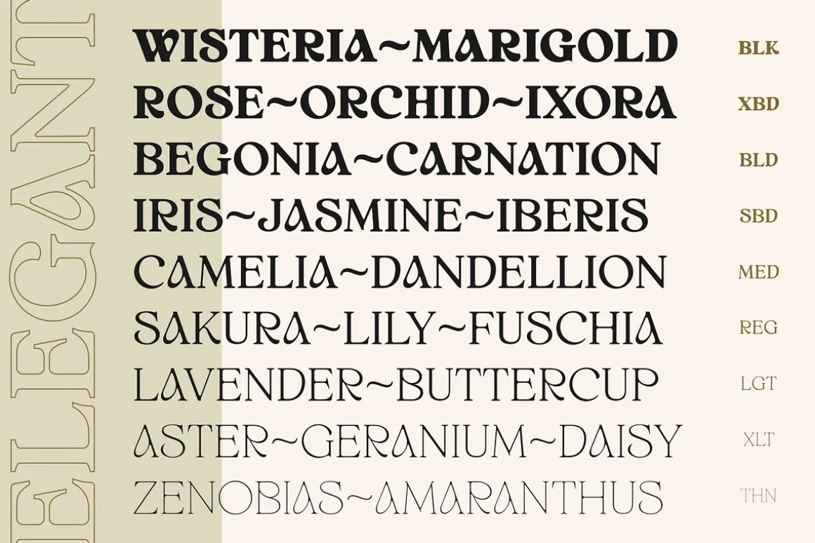 White Wisteria Fonts Family