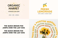 Whole Shop Font Bundle Kaya Fonts