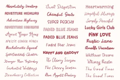Whole Shop Font Bundle Kaya Fonts