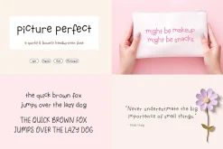Whole Shop Font Bundle Kaya Fonts