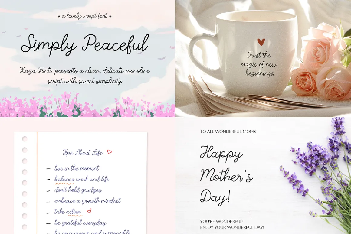 Whole Shop Font Bundle Kaya Fonts