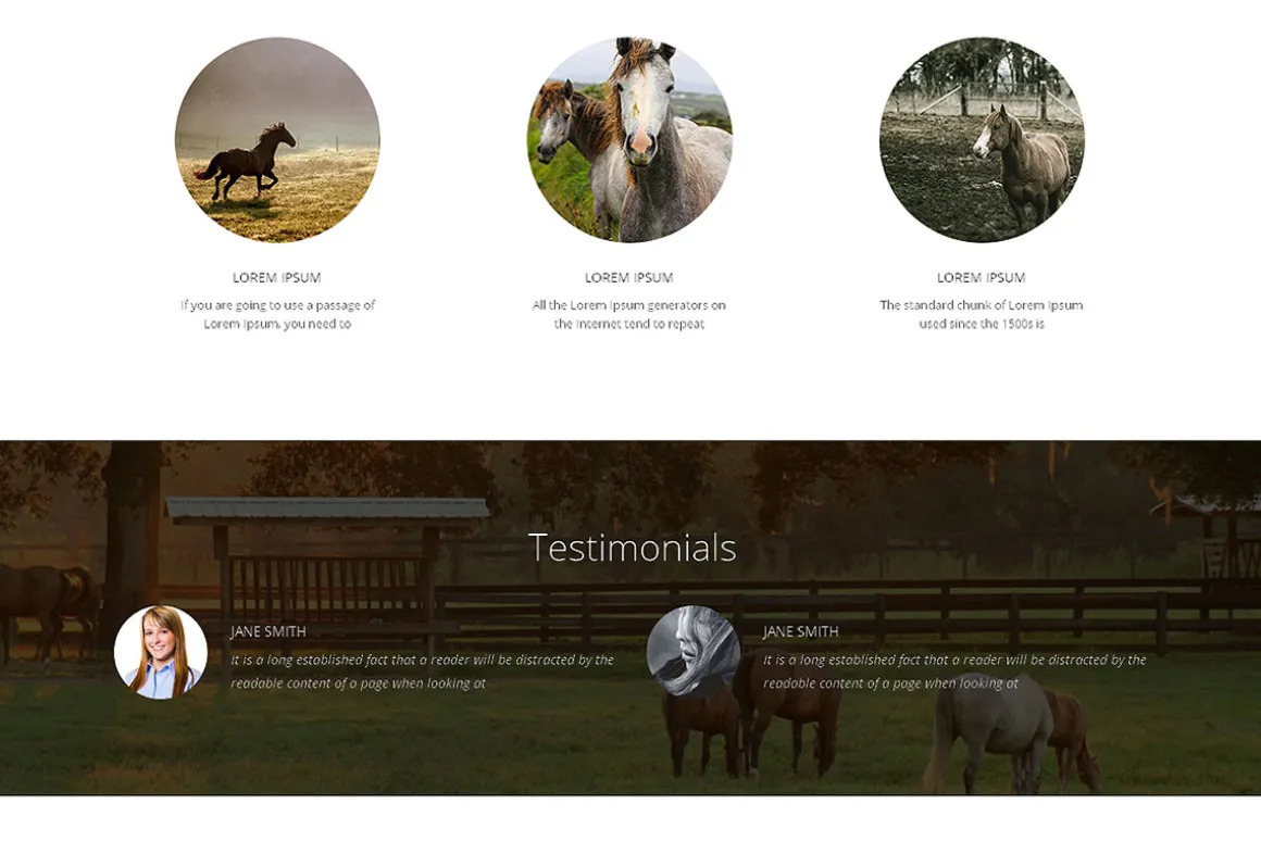 Wild Horse Responsive One Page Theme